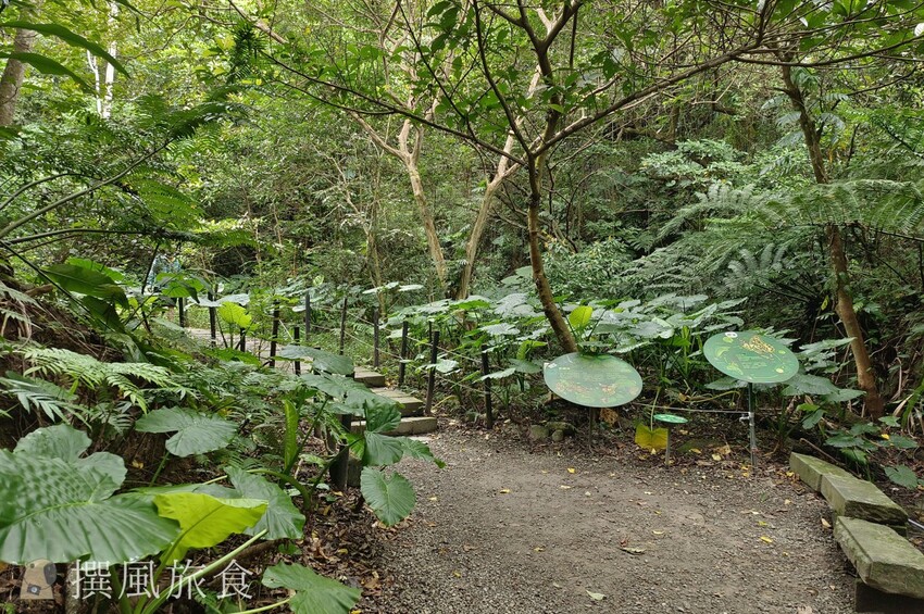 「台北大縱走第六段」中華科大至麟光站,絕美拇指山360度北市風景