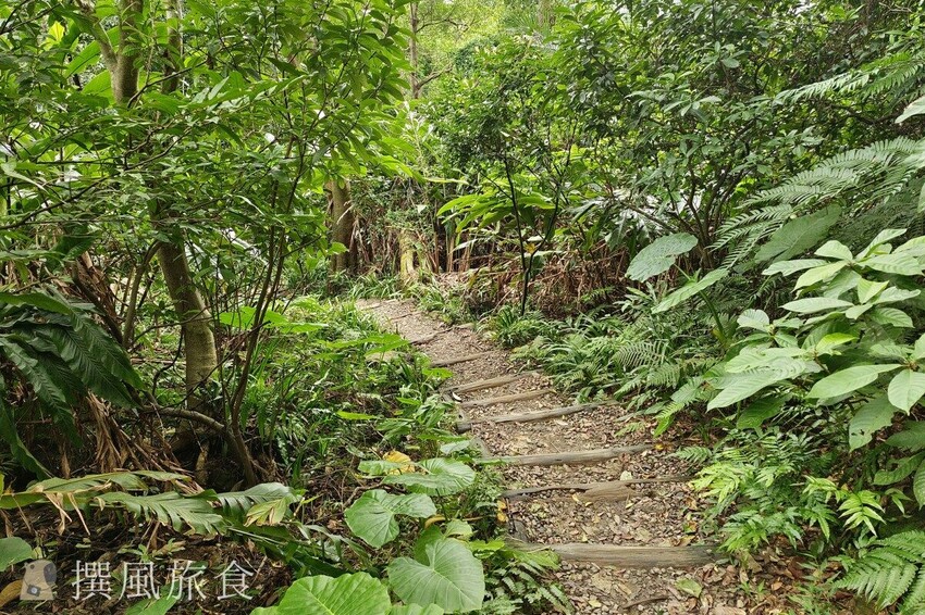 「台北大縱走第六段」中華科大至麟光站,絕美拇指山360度北市風景