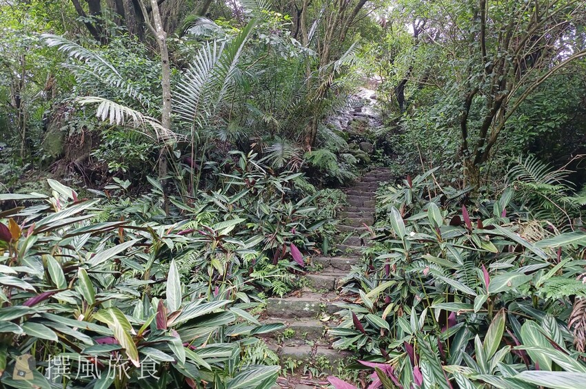 「台北大縱走第六段」中華科大至麟光站,絕美拇指山360度北市風景