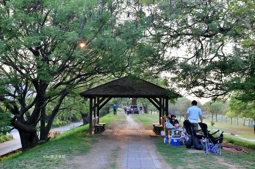 彰化景點大肚溪棒壘球場苦楝樹步道|紫色雪花般的美景.親子運動最佳去處
