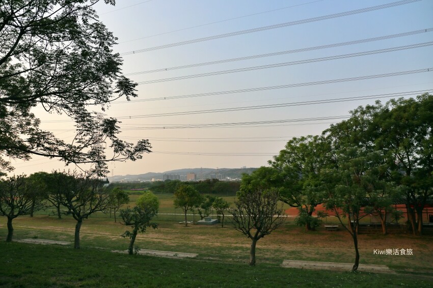 彰化景點大肚溪棒壘球場苦楝樹步道|紫色雪花般的美景.親子運動最佳去處