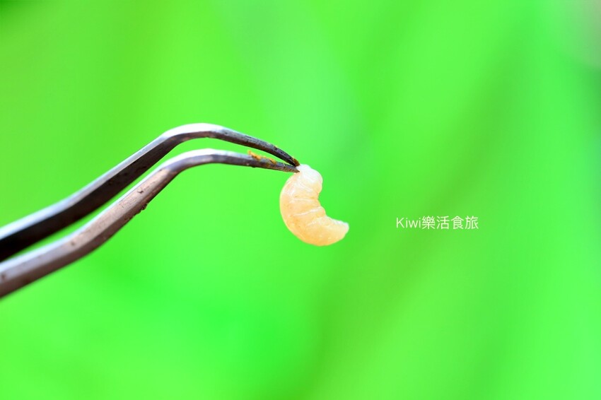 彰化二水景點日華養蜂場|百年歷史日華養蜂場純蜂蜜