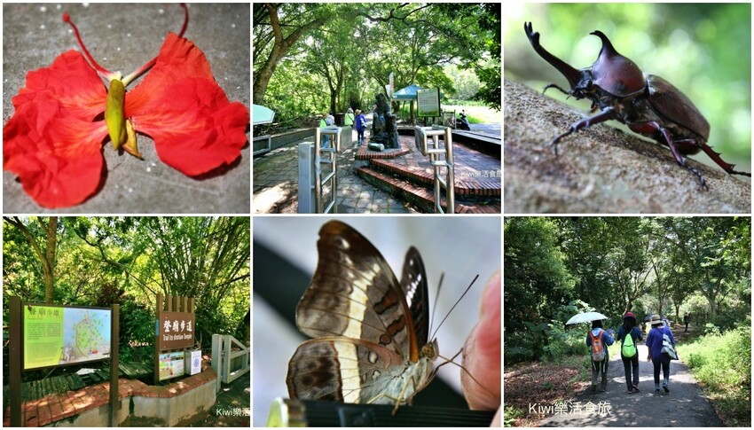 彰化二水豐柏廣場登廟步道｜觀光健行步道親近大自然近距離賞台灣獼猴