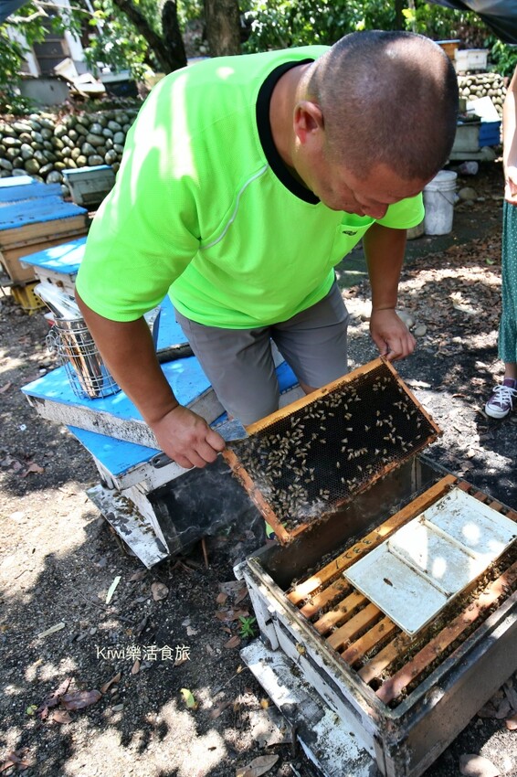 彰化二水景點日華養蜂場|百年歷史日華養蜂場純蜂蜜