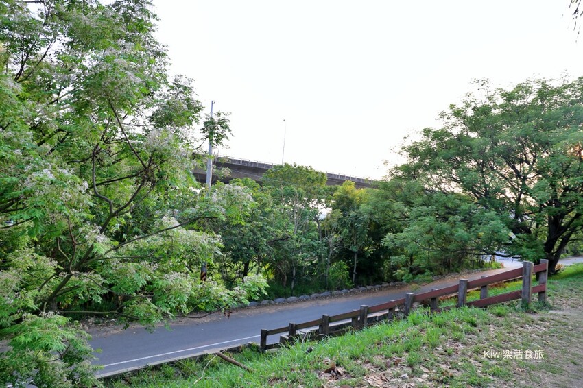彰化景點大肚溪棒壘球場苦楝樹步道|紫色雪花般的美景.親子運動最佳去處