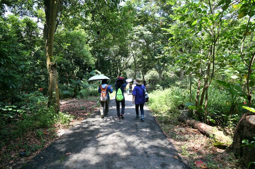彰化二水豐柏廣場登廟步道｜觀光健行步道親近大自然近距離賞台灣獼猴