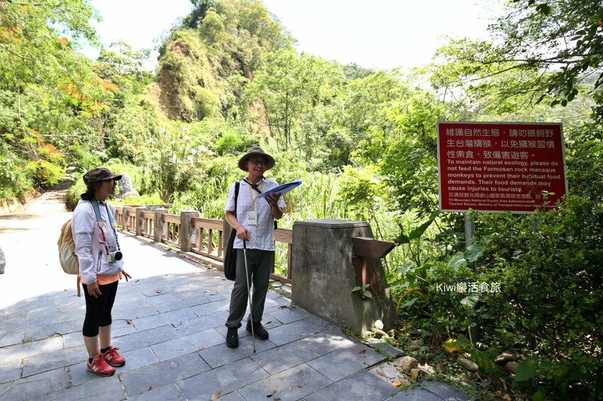 彰化二水豐柏廣場登廟步道｜觀光健行步道親近大自然近距離賞台灣獼猴