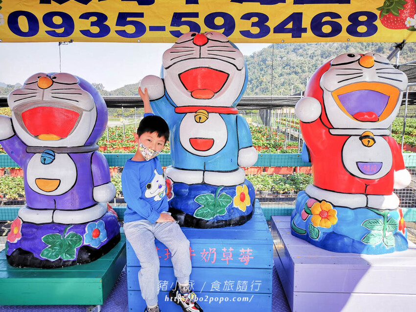 苗栗。大湖》棋琦牛奶草莓園。碩大又飽滿的草莓好好採