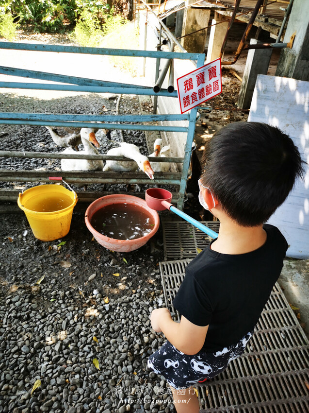 屏東。萬丹》中原世紀休閒農場。小小的農場