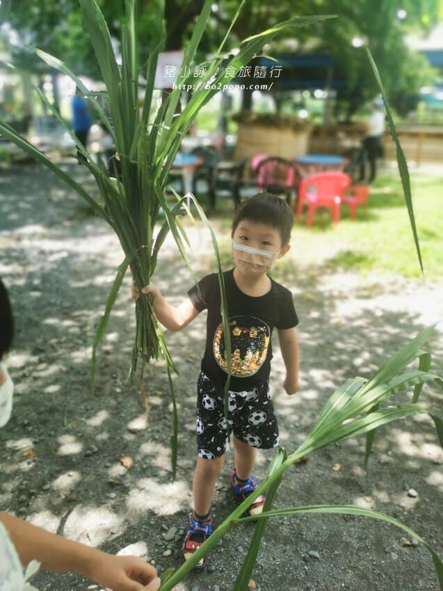 屏東。萬丹》中原世紀休閒農場。小小的農場