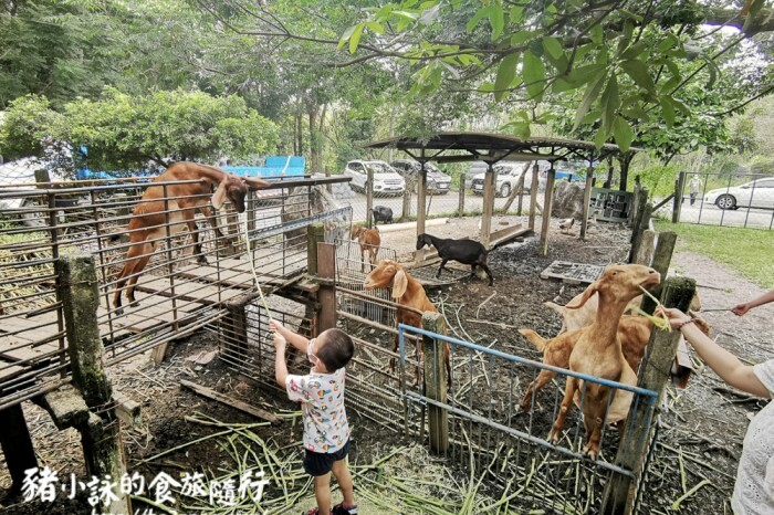 屏東。萬丹》中原世紀休閒農場。小小的農場
