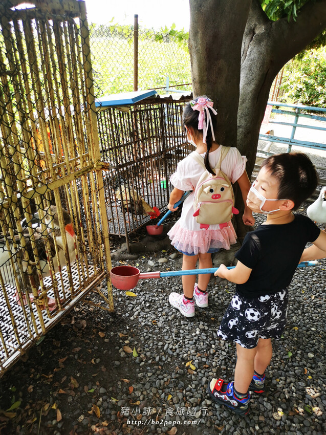 屏東。萬丹》中原世紀休閒農場。小小的農場