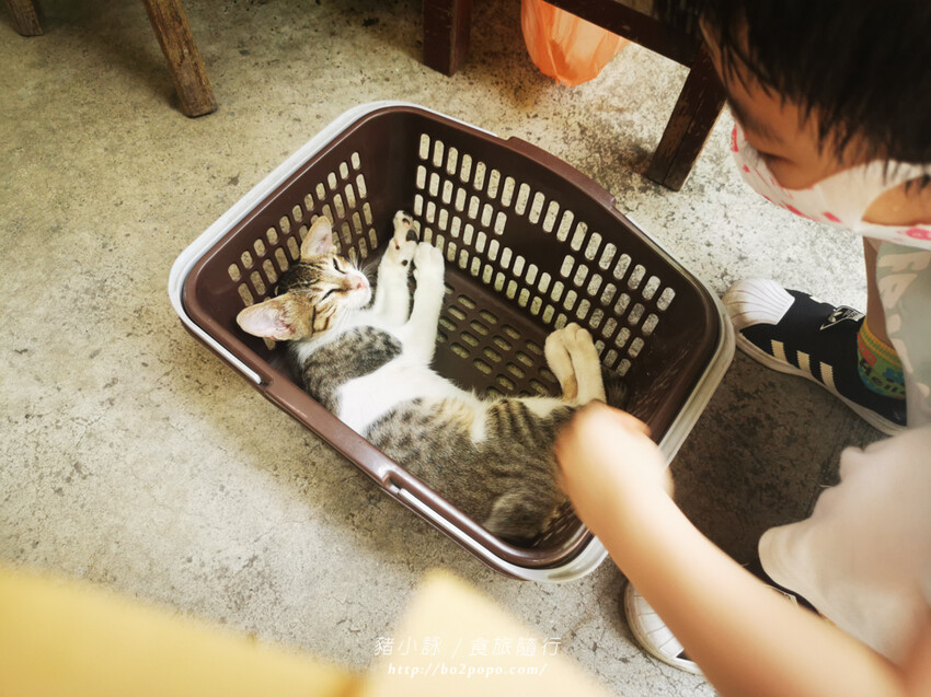 屏東。萬丹》中原世紀休閒農場。小小的農場