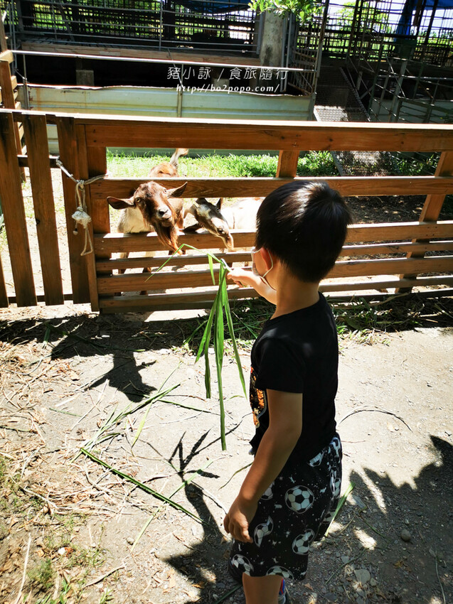 屏東。萬丹》中原世紀休閒農場。小小的農場