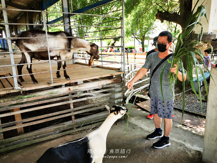 屏東。萬丹》中原世紀休閒農場。小小的農場