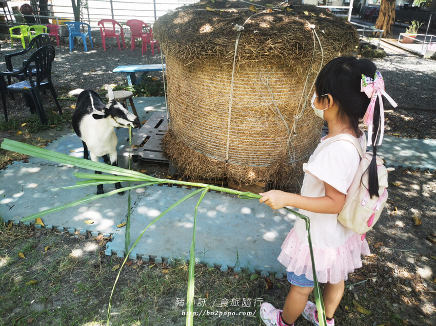 屏東。萬丹》中原世紀休閒農場。小小的農場