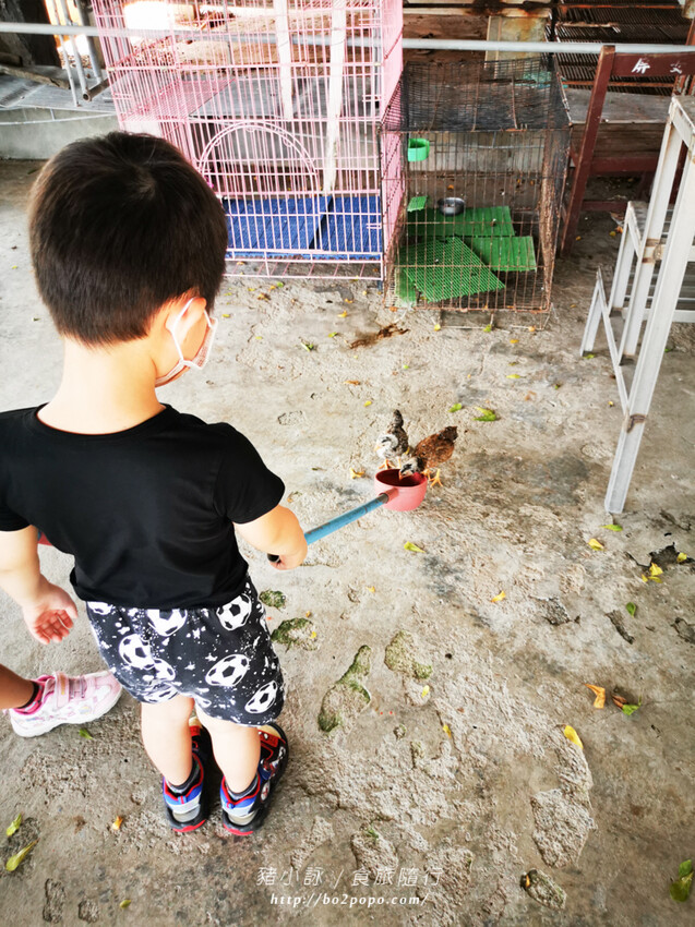 屏東。萬丹》中原世紀休閒農場。小小的農場