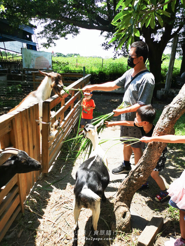 屏東。萬丹》中原世紀休閒農場。小小的農場