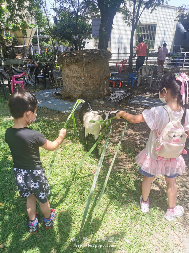 屏東。萬丹》中原世紀休閒農場。小小的農場