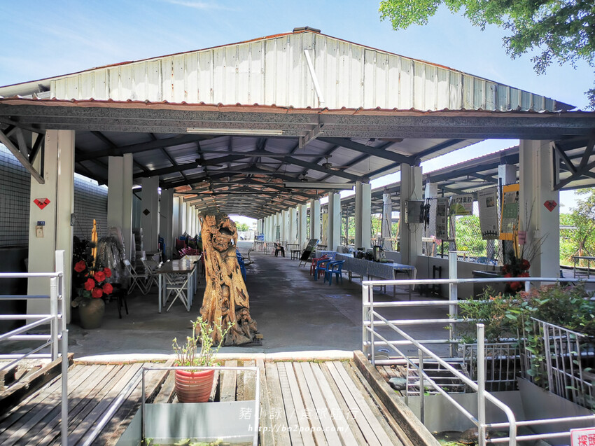 屏東。萬丹》中原世紀休閒農場。小小的農場