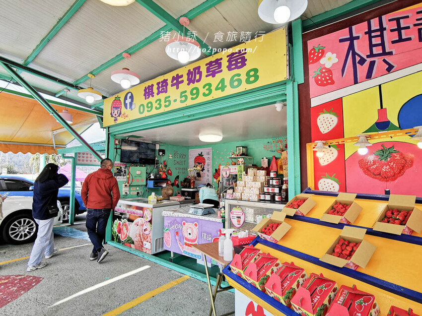 苗栗。大湖》棋琦牛奶草莓園。碩大又飽滿的草莓好好採