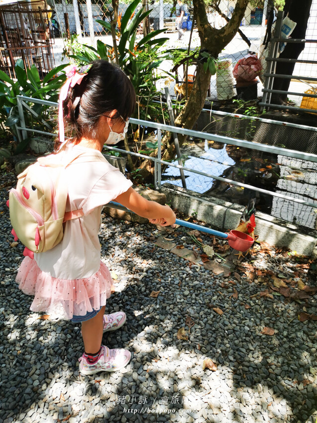 屏東。萬丹》中原世紀休閒農場。小小的農場