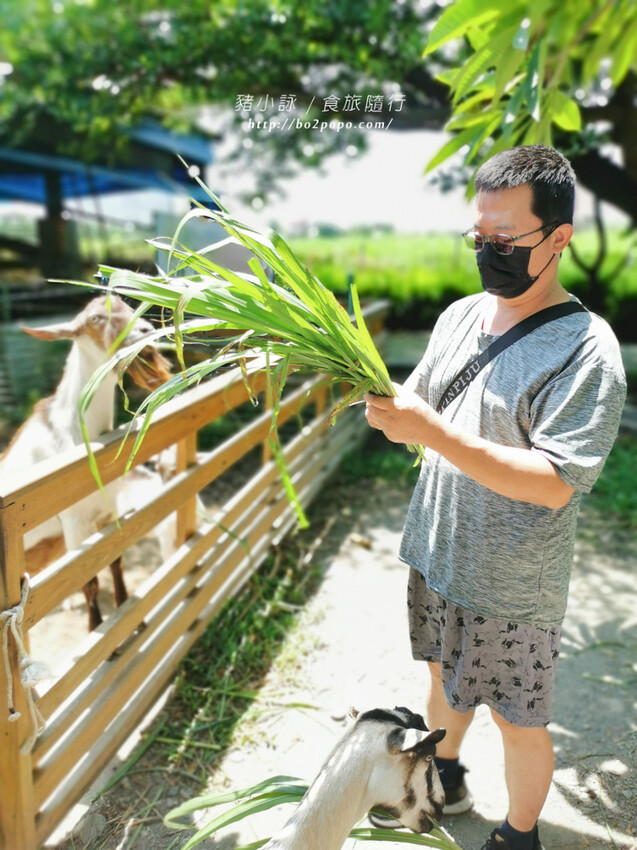 屏東。萬丹》中原世紀休閒農場。小小的農場