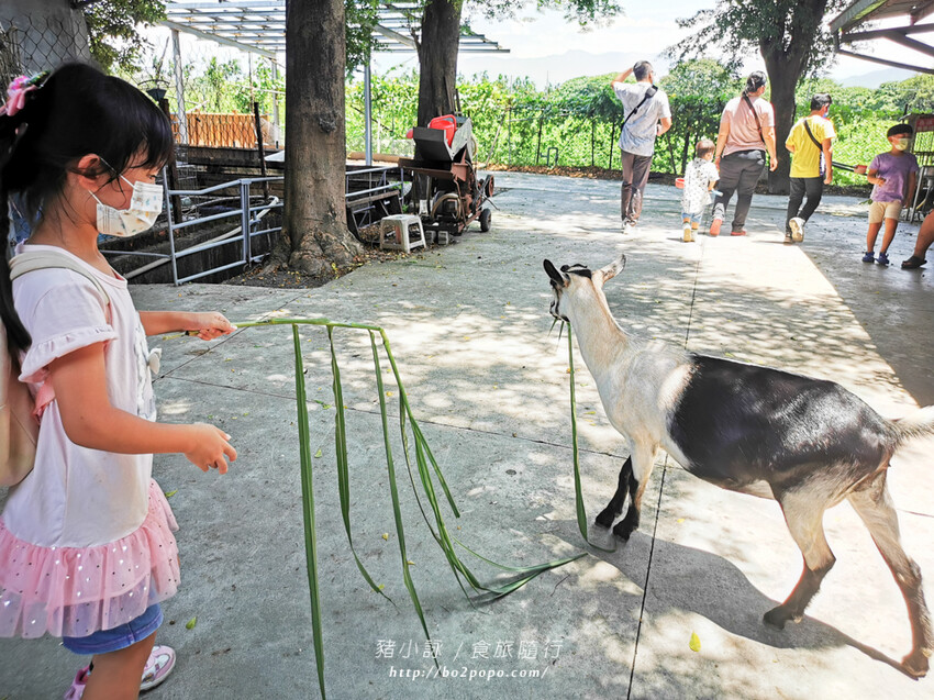 屏東。萬丹》中原世紀休閒農場。小小的農場