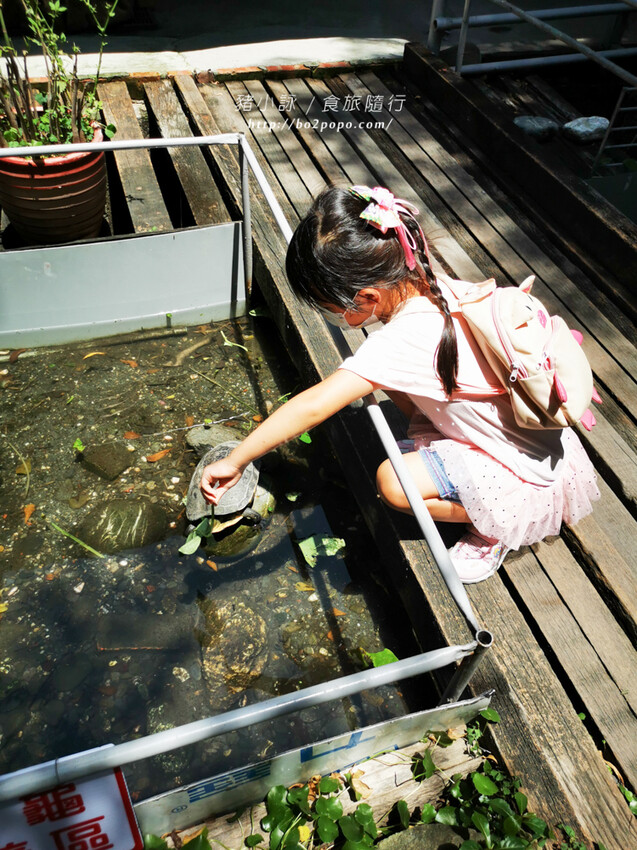 屏東。萬丹》中原世紀休閒農場。小小的農場