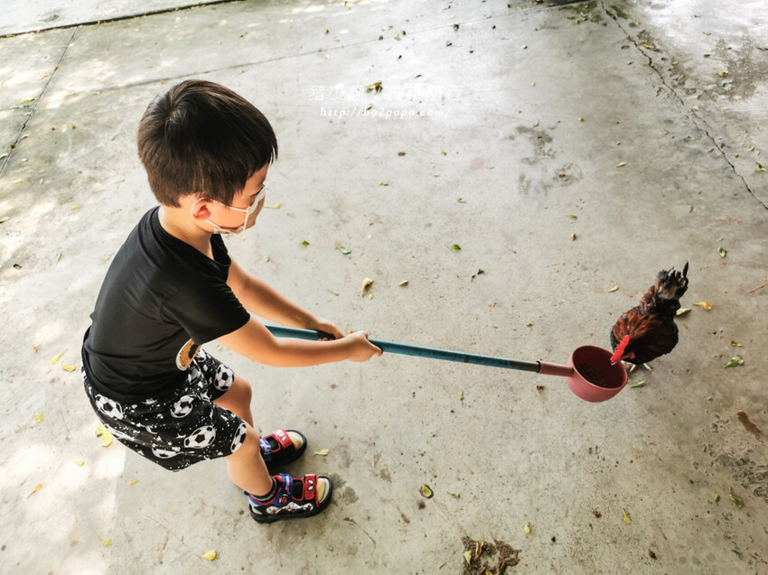 屏東。萬丹》中原世紀休閒農場。小小的農場