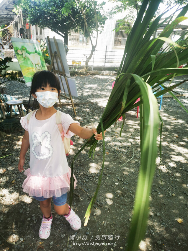 屏東。萬丹》中原世紀休閒農場。小小的農場