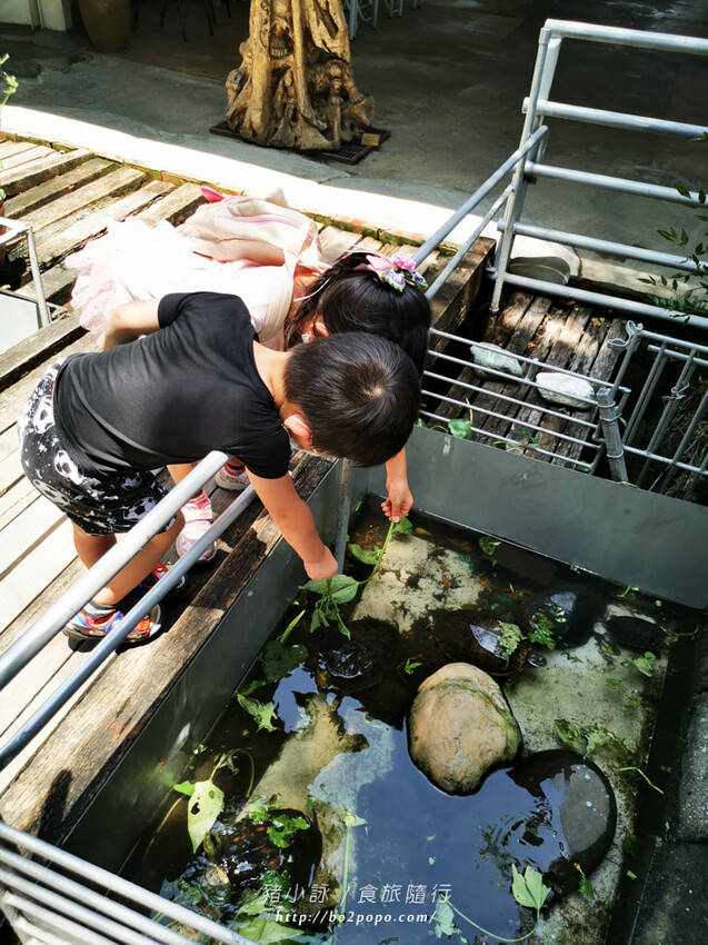 屏東。萬丹》中原世紀休閒農場。小小的農場