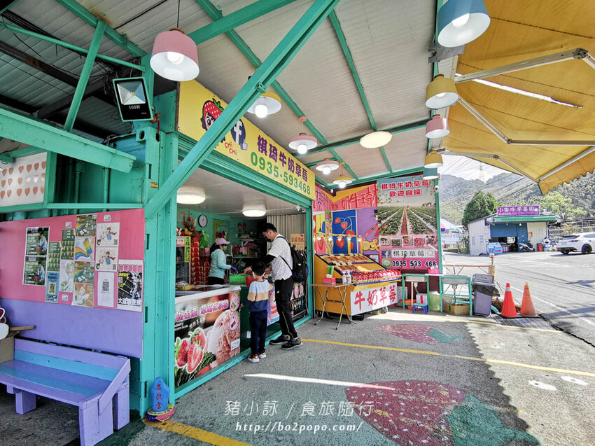 苗栗。大湖》棋琦牛奶草莓園。碩大又飽滿的草莓好好採