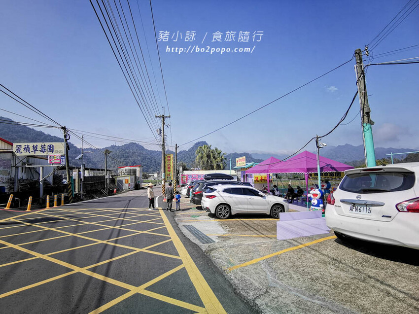 苗栗。大湖》棋琦牛奶草莓園。碩大又飽滿的草莓好好採