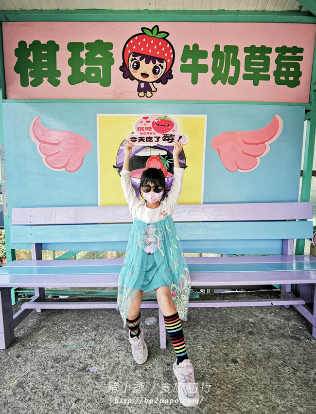 苗栗。大湖》棋琦牛奶草莓園。碩大又飽滿的草莓好好採