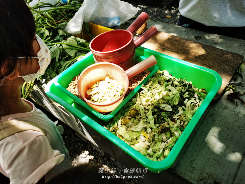 屏東。萬丹》中原世紀休閒農場。小小的農場