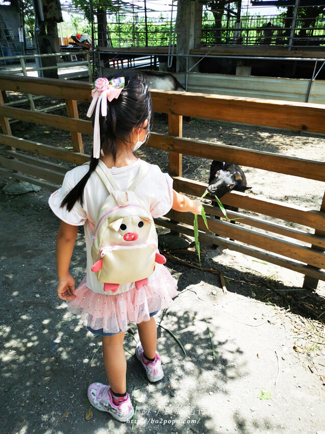 屏東。萬丹》中原世紀休閒農場。小小的農場