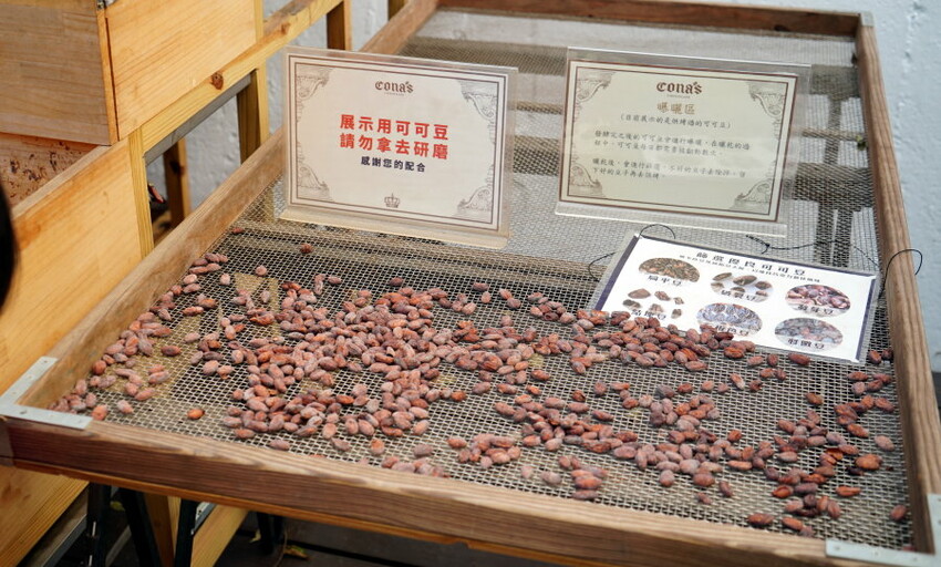 【南投埔里】Cona’s妮娜巧克力夢想城堡.免費變裝、巧克力牆超好拍!