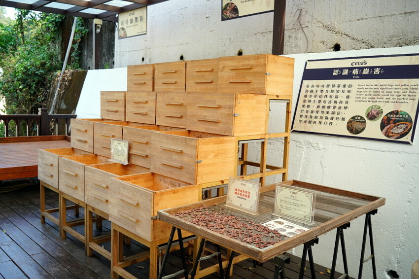 【南投埔里】Cona’s妮娜巧克力夢想城堡.免費變裝、巧克力牆超好拍!