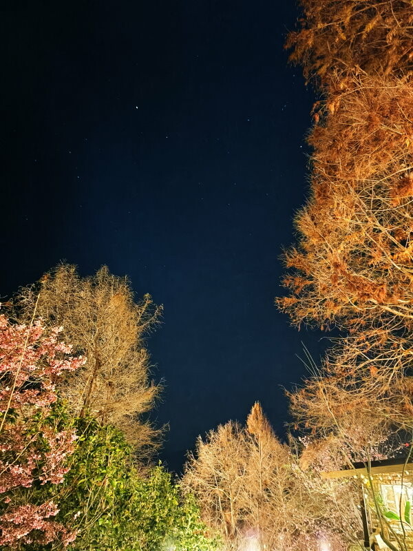 【清境住宿】佛羅倫斯渡假山莊．入住歐風城堡!一泊二食超享受!