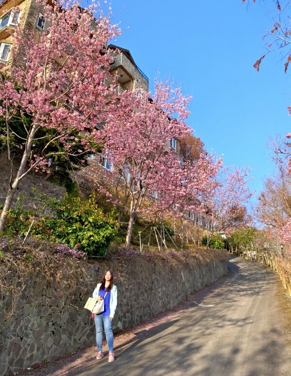 【清境住宿】佛羅倫斯渡假山莊．入住歐風城堡!一泊二食超享受!