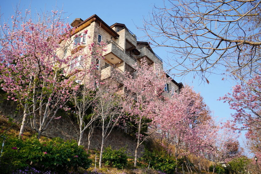 【清境住宿】佛羅倫斯渡假山莊．入住歐風城堡!一泊二食超享受!