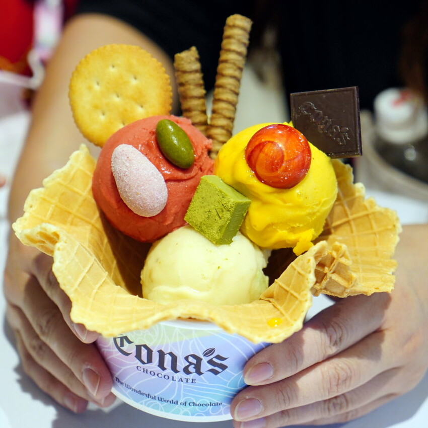 【南投埔里】Cona’s妮娜巧克力夢想城堡.免費變裝、巧克力牆超好拍!