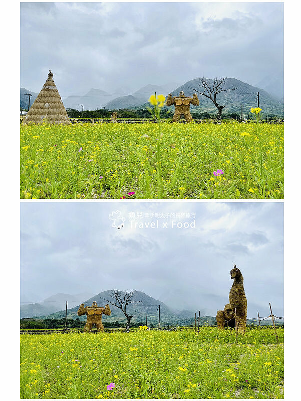 大猩猩現身!與海底動物一同遨遊~免門票稻草藝術季,花蓮富里鄉農會羅山展售中心,一起來文青 @魚兒 x 牽手明太子的「視」界旅行