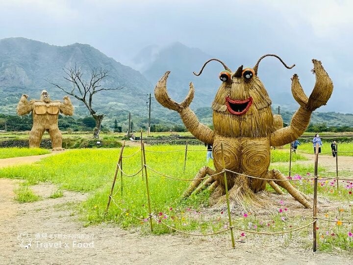 大猩猩現身!與海底動物一同遨遊~免門票稻草藝術季,花蓮富里鄉農會羅山展售中心,一起來文青 @魚兒 x 牽手明太子的「視」界旅行
