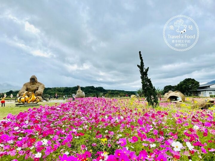 大猩猩現身!與海底動物一同遨遊~免門票稻草藝術季,花蓮富里鄉農會羅山展售中心,一起來文青 @魚兒 x 牽手明太子的「視」界旅行