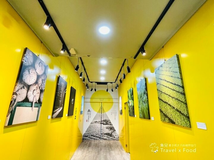 大猩猩現身!與海底動物一同遨遊~免門票稻草藝術季,花蓮富里鄉農會羅山展售中心,一起來文青 @魚兒 x 牽手明太子的「視」界旅行