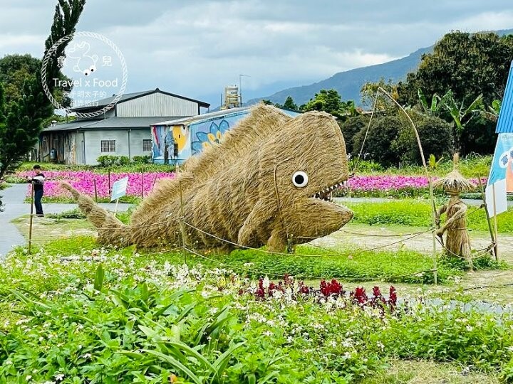 大猩猩現身!與海底動物一同遨遊~免門票稻草藝術季,花蓮富里鄉農會羅山展售中心,一起來文青 @魚兒 x 牽手明太子的「視」界旅行