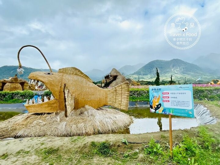 大猩猩現身!與海底動物一同遨遊~免門票稻草藝術季,花蓮富里鄉農會羅山展售中心,一起來文青 @魚兒 x 牽手明太子的「視」界旅行