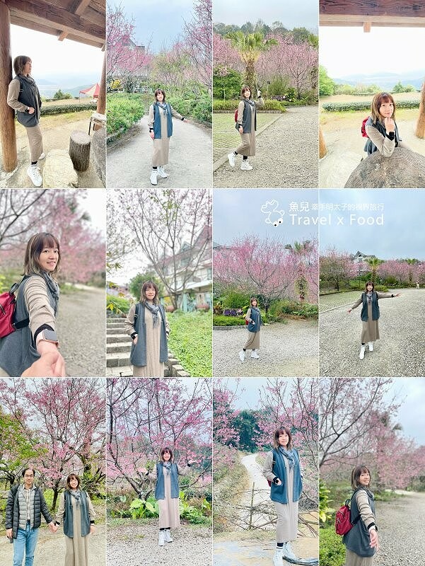 免門票，開車即可抵達的高山茶園，春天櫻花季必訪！雲霧飄渺的玉蘭茶園～ @魚兒 x 牽手明太子的「視」界旅行